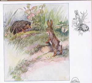 What Funny Things by Anne Anderson